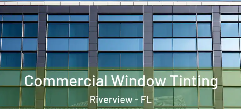 Commercial Window Tinting Riverview - FL