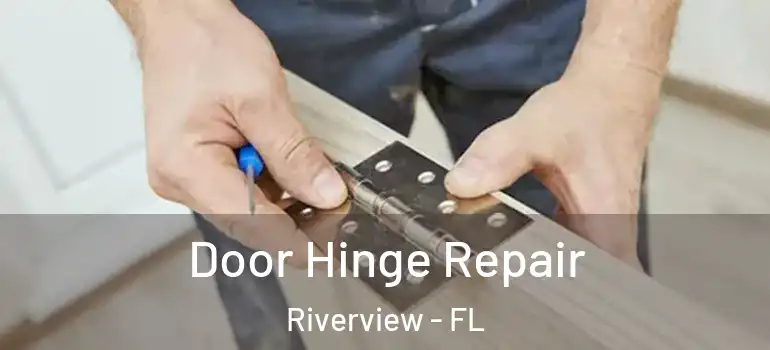 Door Hinge Repair Riverview - FL