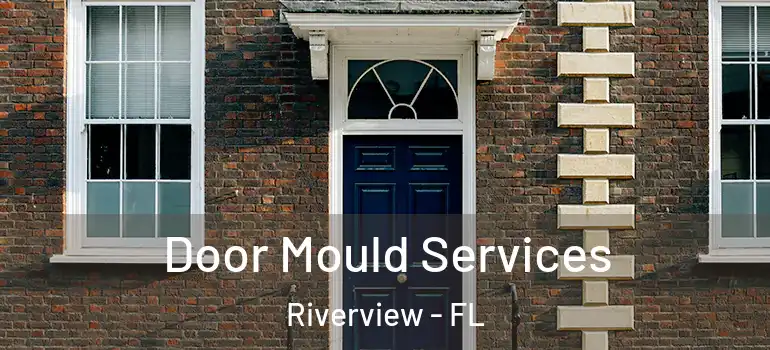 Door Mould Services Riverview - FL