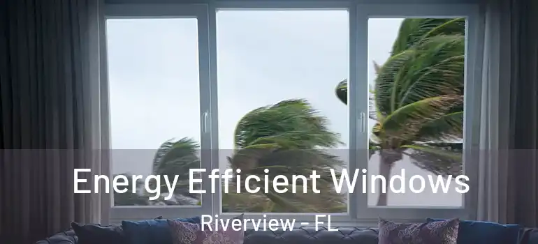 Energy Efficient Windows Riverview - FL