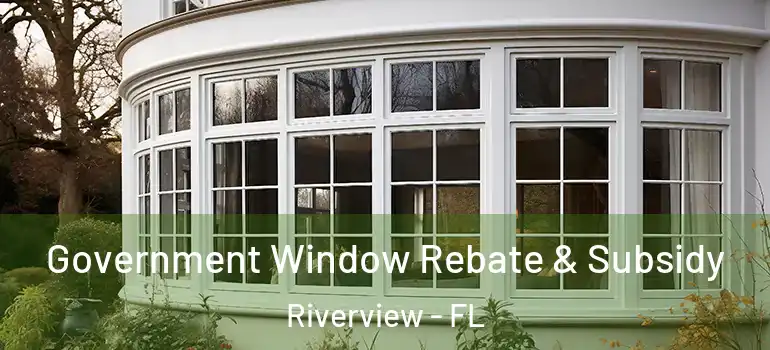 Government Window Rebate & Subsidy Riverview - FL