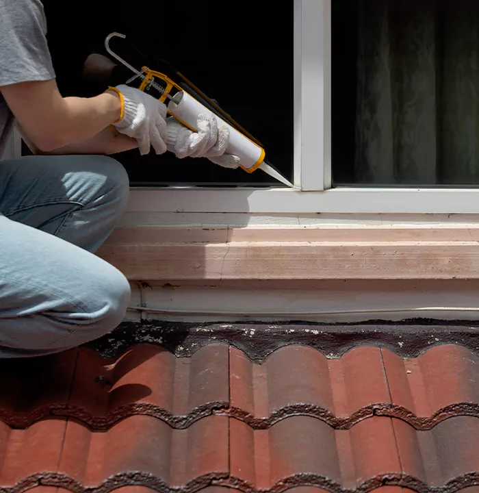 Roof Window Services in Riverview, Florida