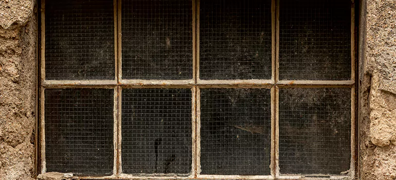 Traditional Double Front Doors in Riverview, FL