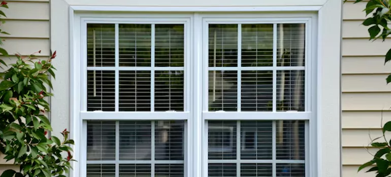 Custom Double Hung Windows in Riverview, FL