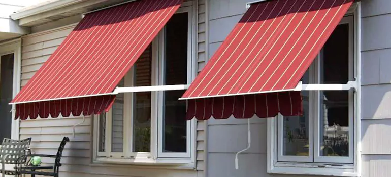 Government Rebate Window Replacement in Riverview, FL