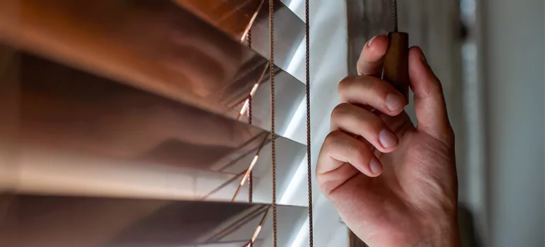 Double Roller Blinds in Riverview, FL