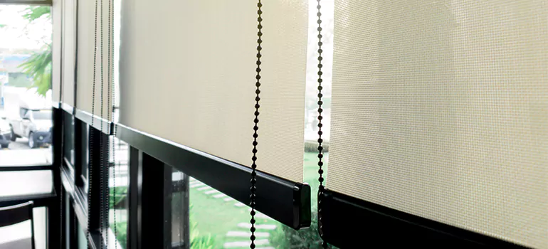 Blackout Window Shades in Riverview, FL