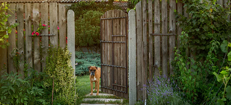 Winter Garden Garage Door Repair in Riverview,[location field=state]