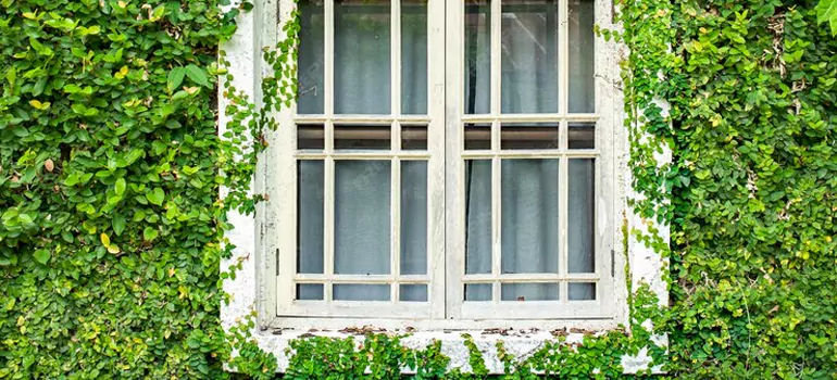 Garden Window Repair Near Me in Riverview, FL