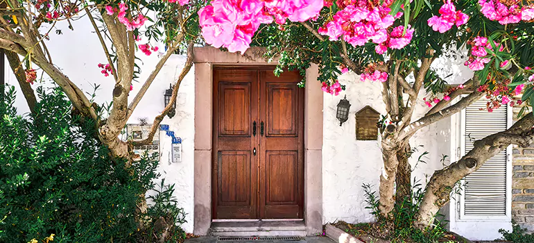 Traditional 4 Panel Internal Doors in Riverview, FL