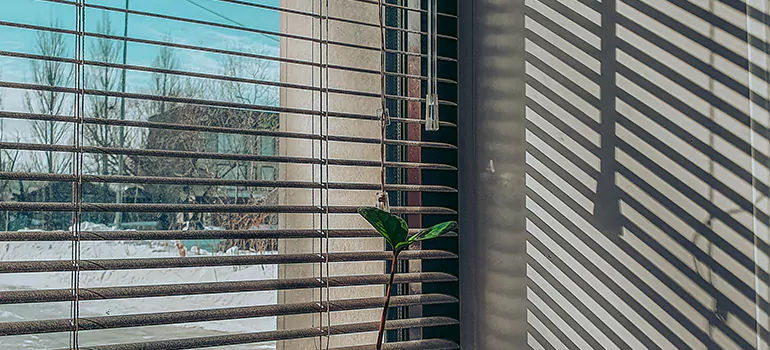 Commercial Window Blinds in Riverview, FL