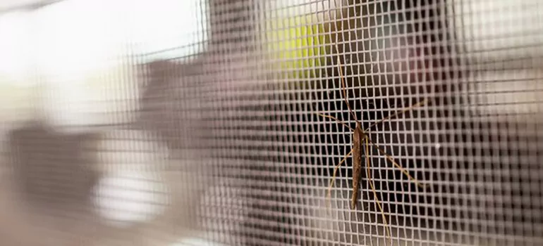 Repair Mosquito Mesh For Windows in Riverview, FL