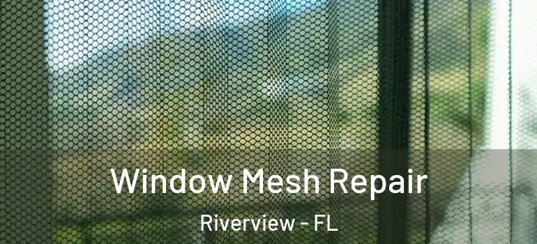 Window Mesh Repair Riverview - FL