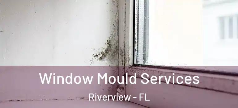 Window Mould Services Riverview - FL