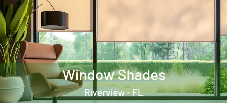 Window Shades Riverview - FL
